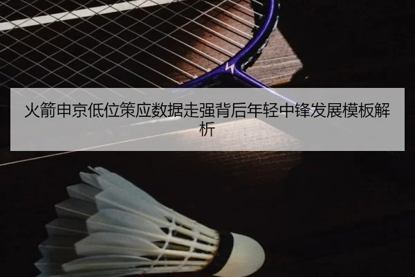 火箭申京低位策应数据走强背后年轻中锋发展模板解析